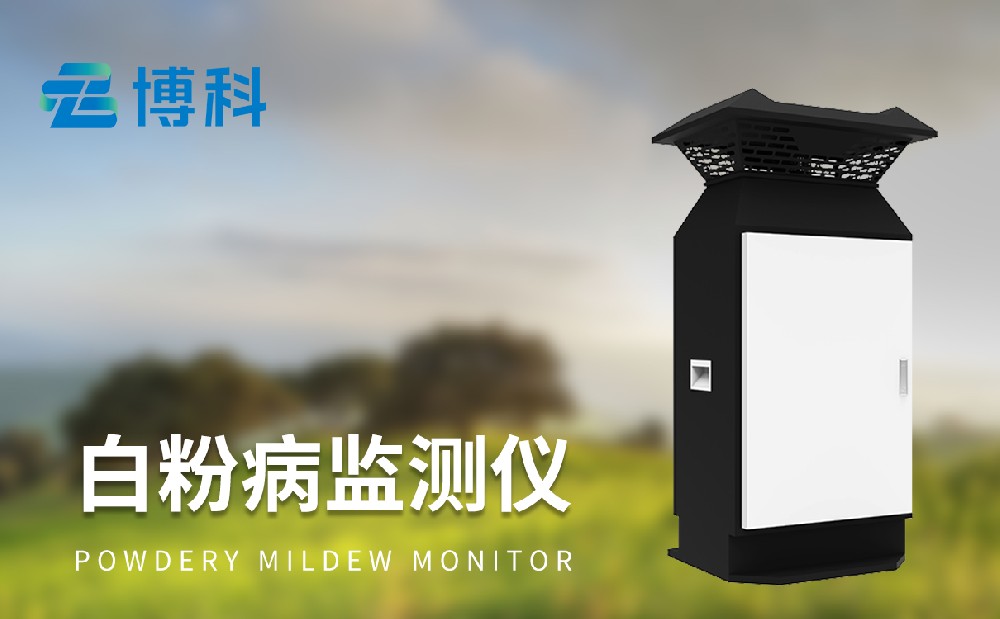 白粉病監(jiān)測(cè)儀提升小麥病蟲(chóng)害的治理能力